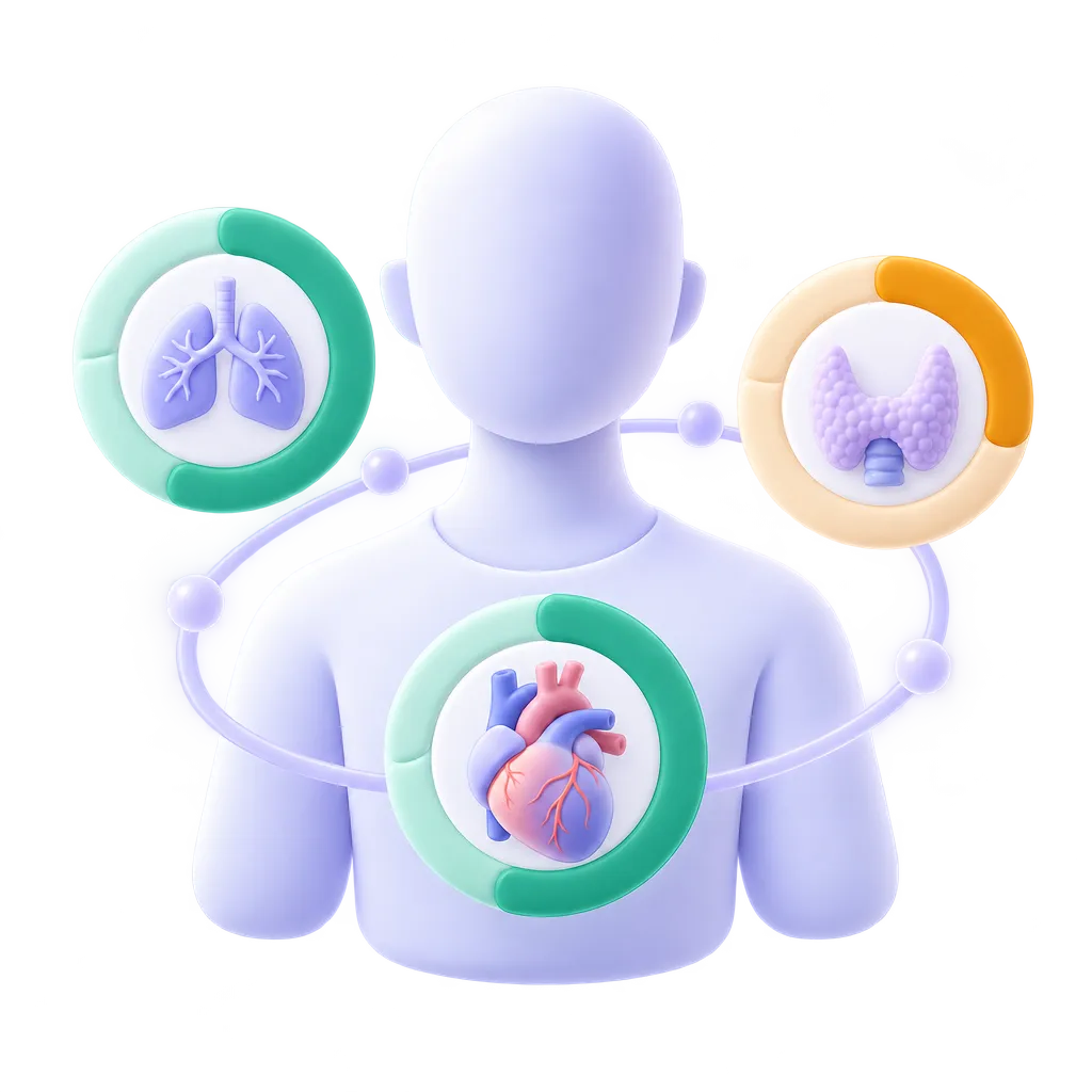 A figure surrounded by rings showing the heart, lungs and thyroid
